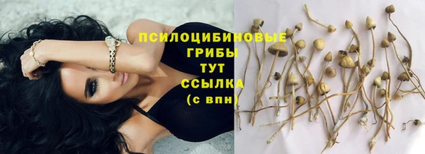 не бодяженный Аркадак