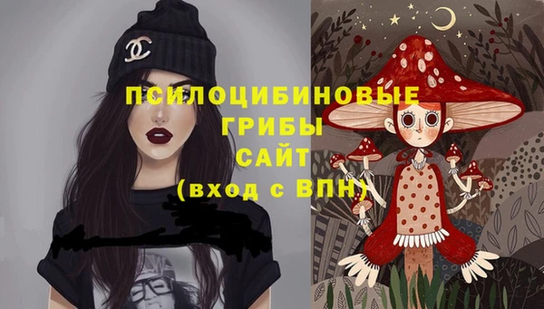 не бодяженный Аркадак