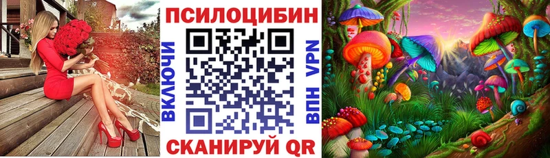 Галлюциногенные грибы Psilocybe Ступино