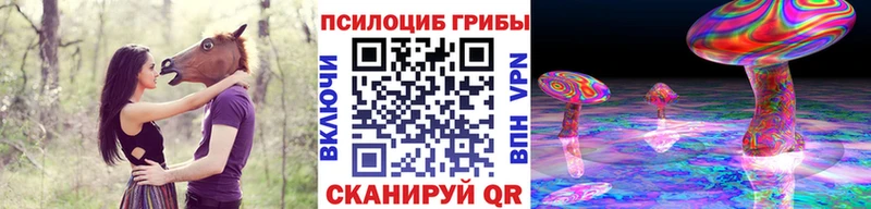 Галлюциногенные грибы GOLDEN TEACHER  KRAKEN маркетплейс  Ступино 